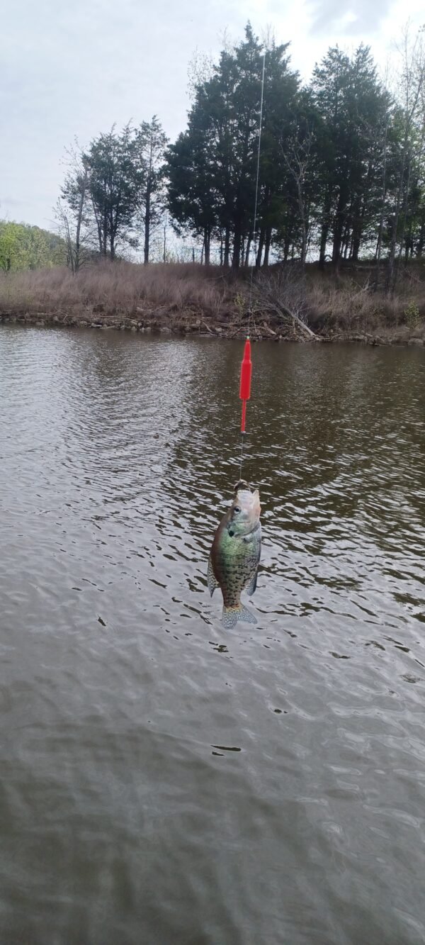 Slip Bobber – Cast Like a Bullet! - Image 2